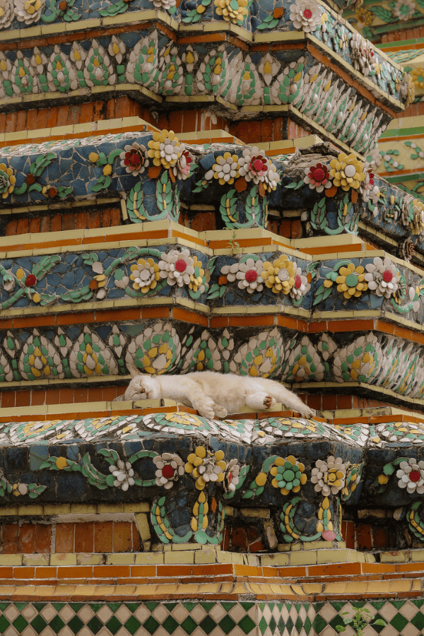 grand palace to wat pho